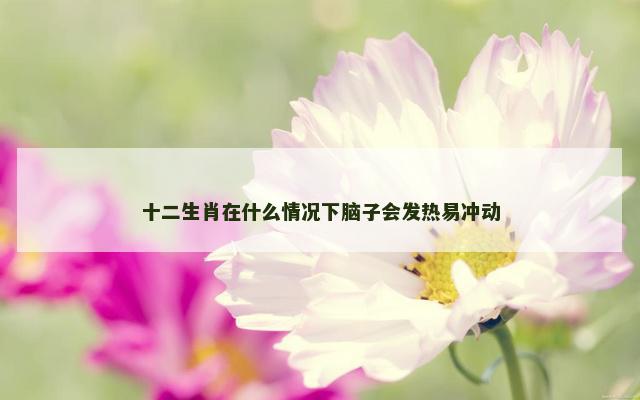 十二生肖在什么情况下脑子会发热易冲动
