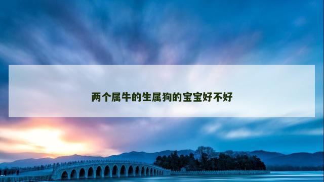 两个属牛的生属狗的宝宝好不好