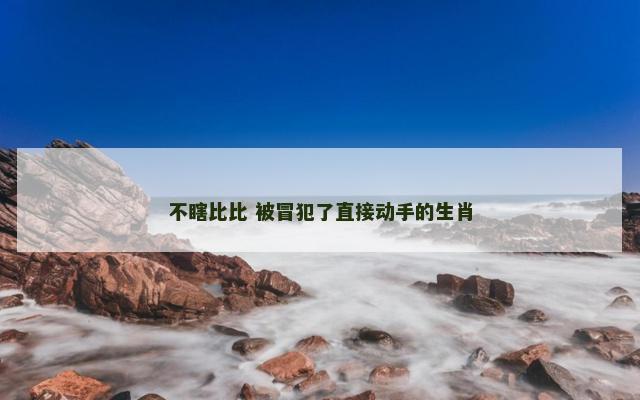 不瞎比比 被冒犯了直接动手的生肖