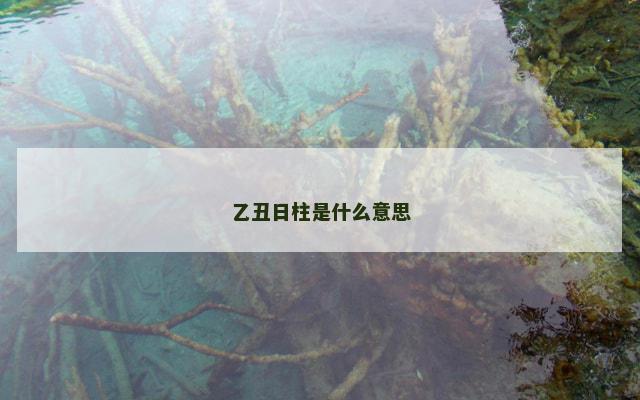 乙丑日柱是什么意思