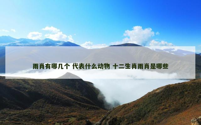 雨肖有哪几个 代表什么动物 十二生肖雨肖是哪些