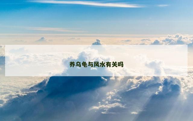 养乌龟与风水有关吗