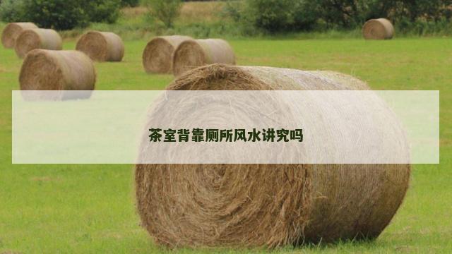 茶室背靠厕所风水讲究吗