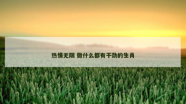 热情无限 做什么都有干劲的生肖