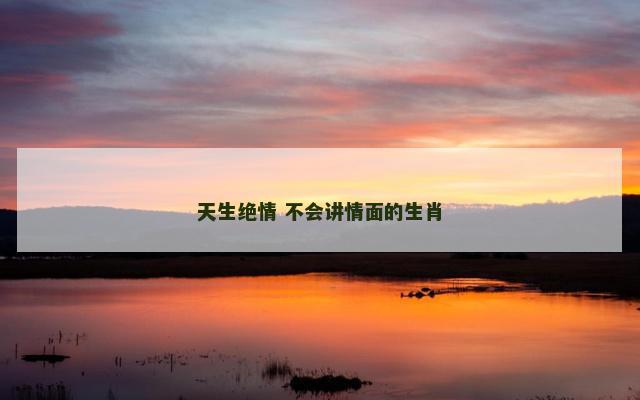 天生绝情 不会讲情面的生肖