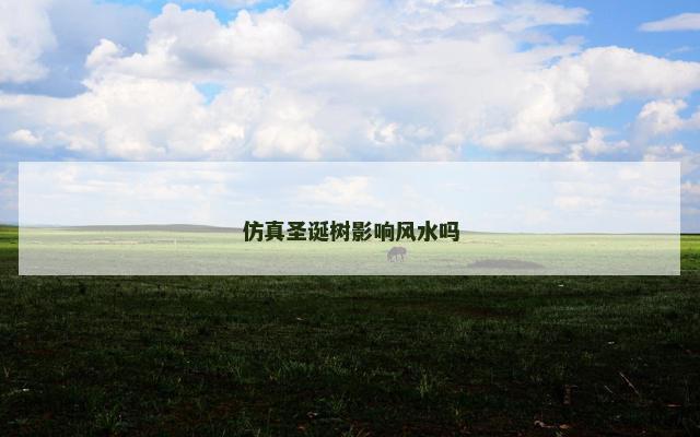 仿真圣诞树影响风水吗