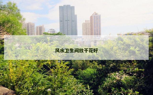 风水卫生间放干花好