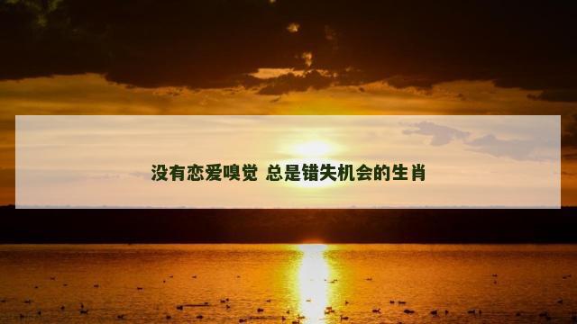 没有恋爱嗅觉 总是错失机会的生肖