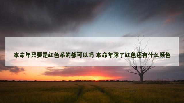 本命年只要是红色系的都可以吗 本命年除了红色还有什么颜色