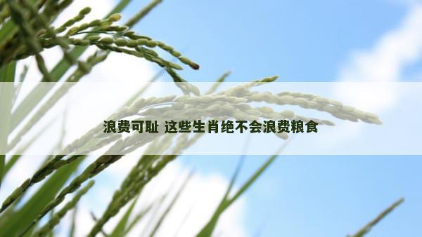 浪费可耻 这些生肖绝不会浪费粮食