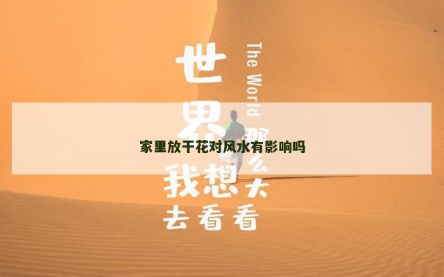 家里放干花对风水有影响吗