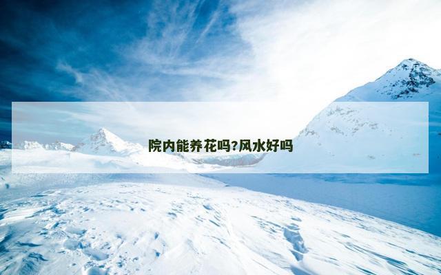 院内能养花吗?风水好吗