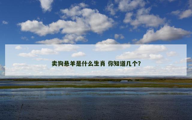卖狗悬羊是什么生肖 你知道几个？