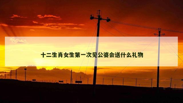 十二生肖女生第一次见公婆会送什么礼物