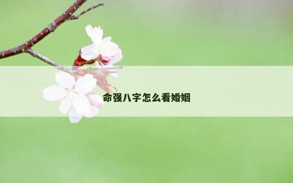 命强八字怎么看婚姻