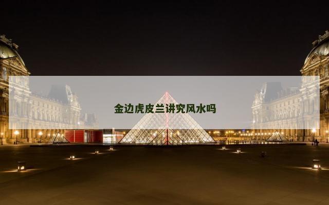 金边虎皮兰讲究风水吗