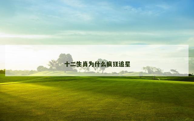 十二生肖为什么疯狂追星