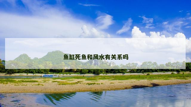 鱼缸死鱼和风水有关系吗