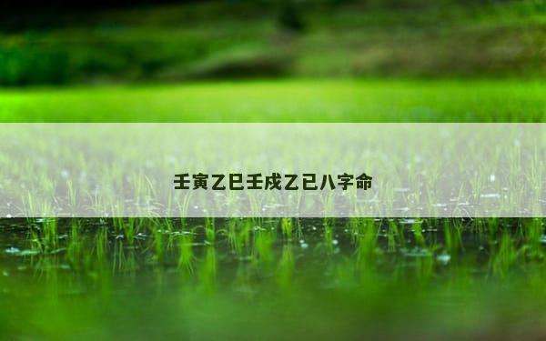 壬寅乙巳壬戍乙已八字命