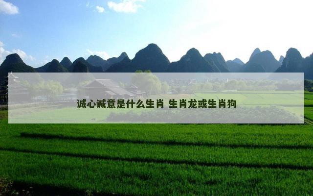 诚心诚意是什么生肖 生肖龙或生肖狗