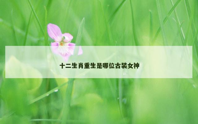 十二生肖重生是哪位古装女神