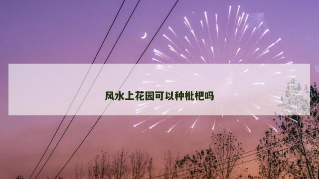 风水上花园可以种枇杷吗