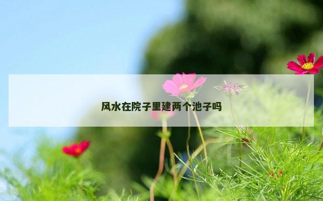 风水在院子里建两个池子吗