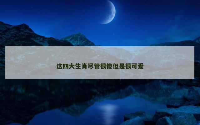 这四大生肖尽管很傻但是很可爱