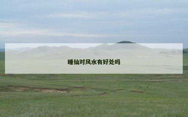 睡仙对风水有好处吗