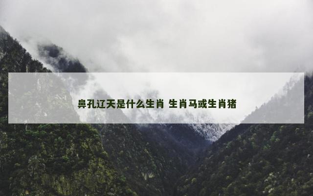 鼻孔辽天是什么生肖 生肖马或生肖猪