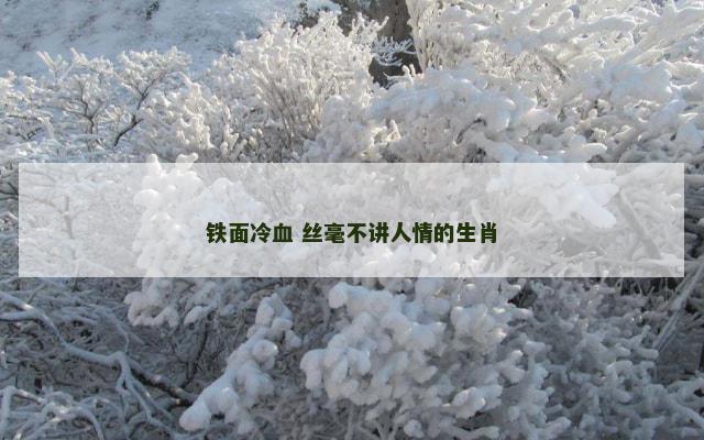 铁面冷血 丝毫不讲人情的生肖