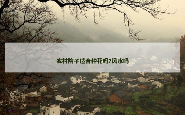 农村院子适合种花吗?风水吗