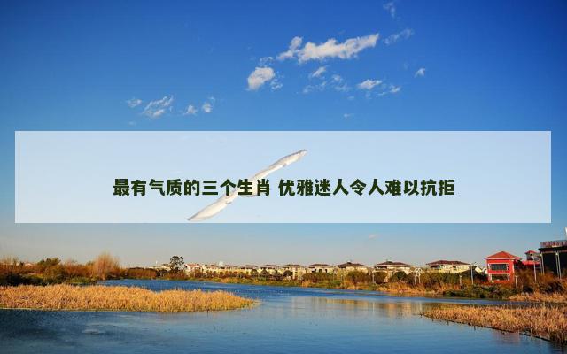 最有气质的三个生肖 优雅迷人令人难以抗拒