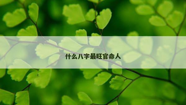 什么八字最旺官命人