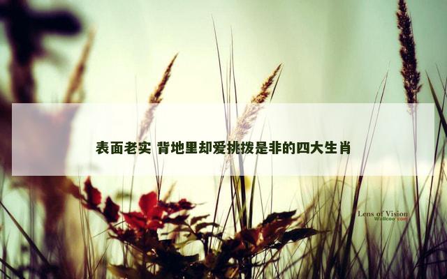 表面老实 背地里却爱挑拨是非的四大生肖