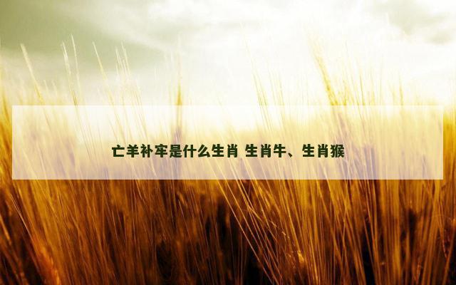 亡羊补牢是什么生肖 生肖牛、生肖猴