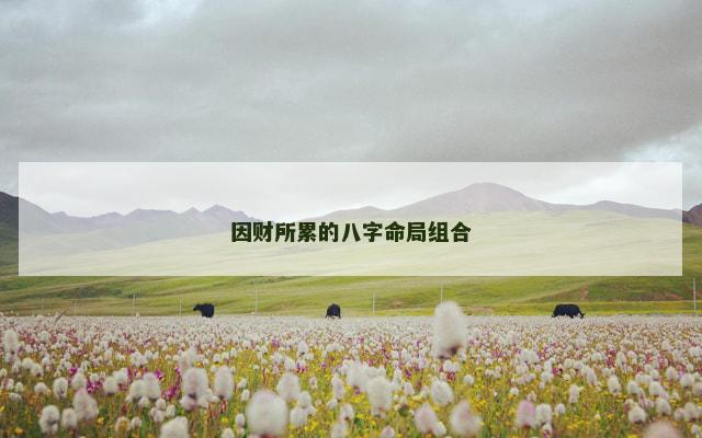 因财所累的八字命局组合
