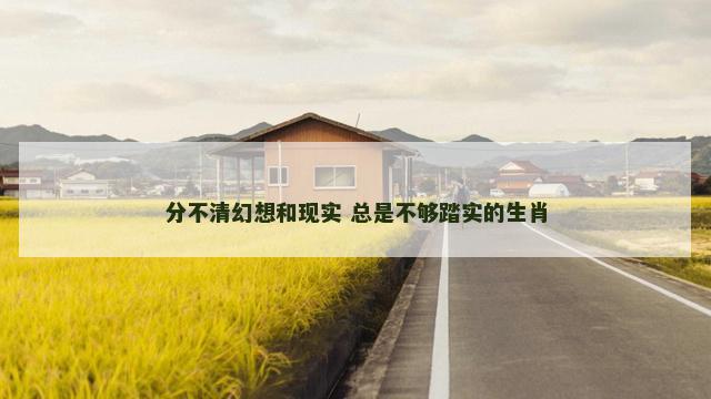 分不清幻想和现实 总是不够踏实的生肖