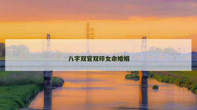 八字双官双印女命婚姻