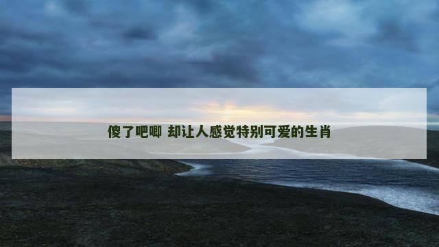 傻了吧唧 却让人感觉特别可爱的生肖