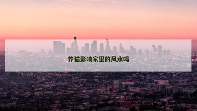 养猫影响家里的风水吗