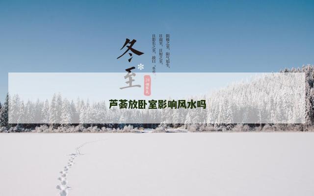 芦荟放卧室影响风水吗
