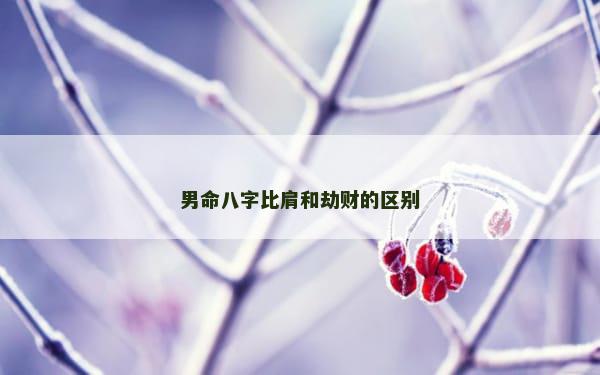 男命八字比肩和劫财的区别
