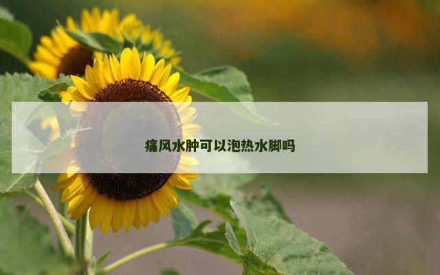 痛风水肿可以泡热水脚吗