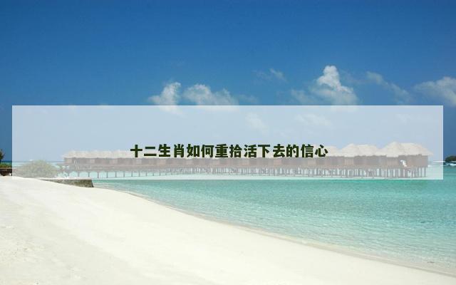 十二生肖如何重拾活下去的信心