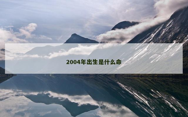2004年出生是什么命