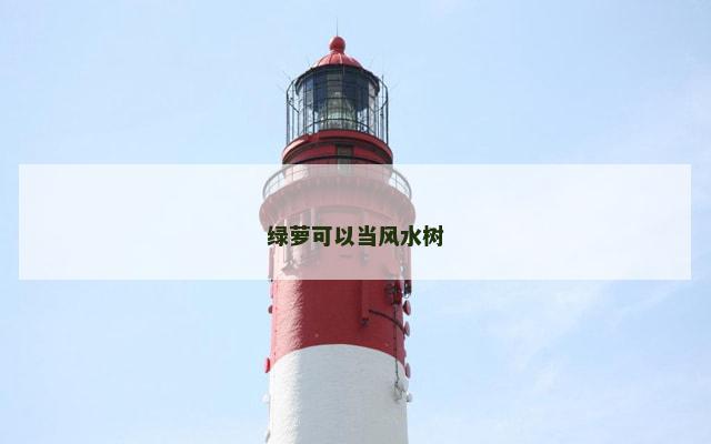绿萝可以当风水树