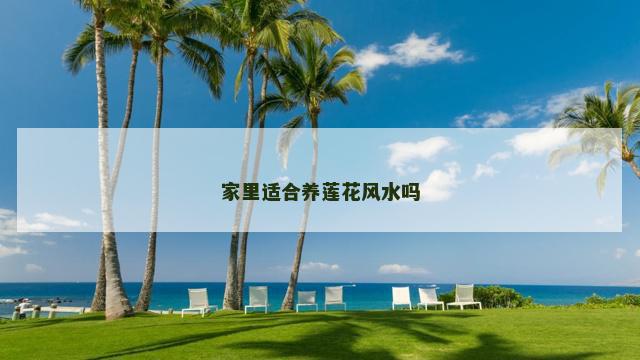家里适合养莲花风水吗
