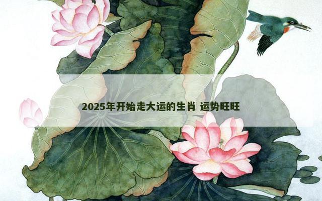 2025年开始走大运的生肖 运势旺旺