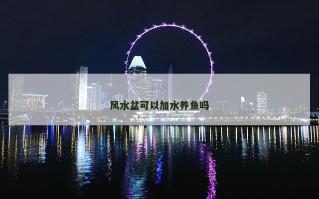 风水盆可以加水养鱼吗